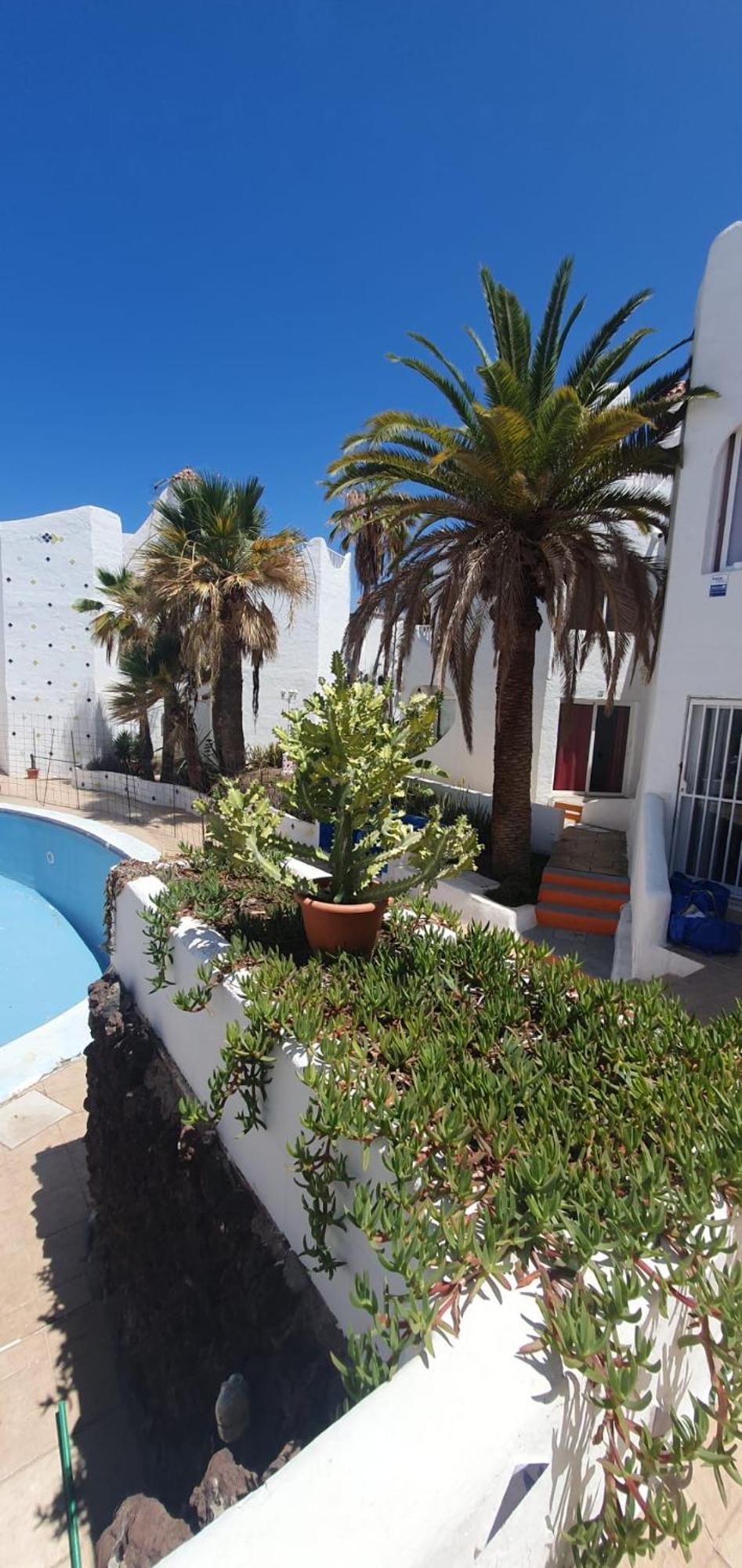 Wonderful White Appartament In Las Tortugas Playa de las Americas  Exterior foto