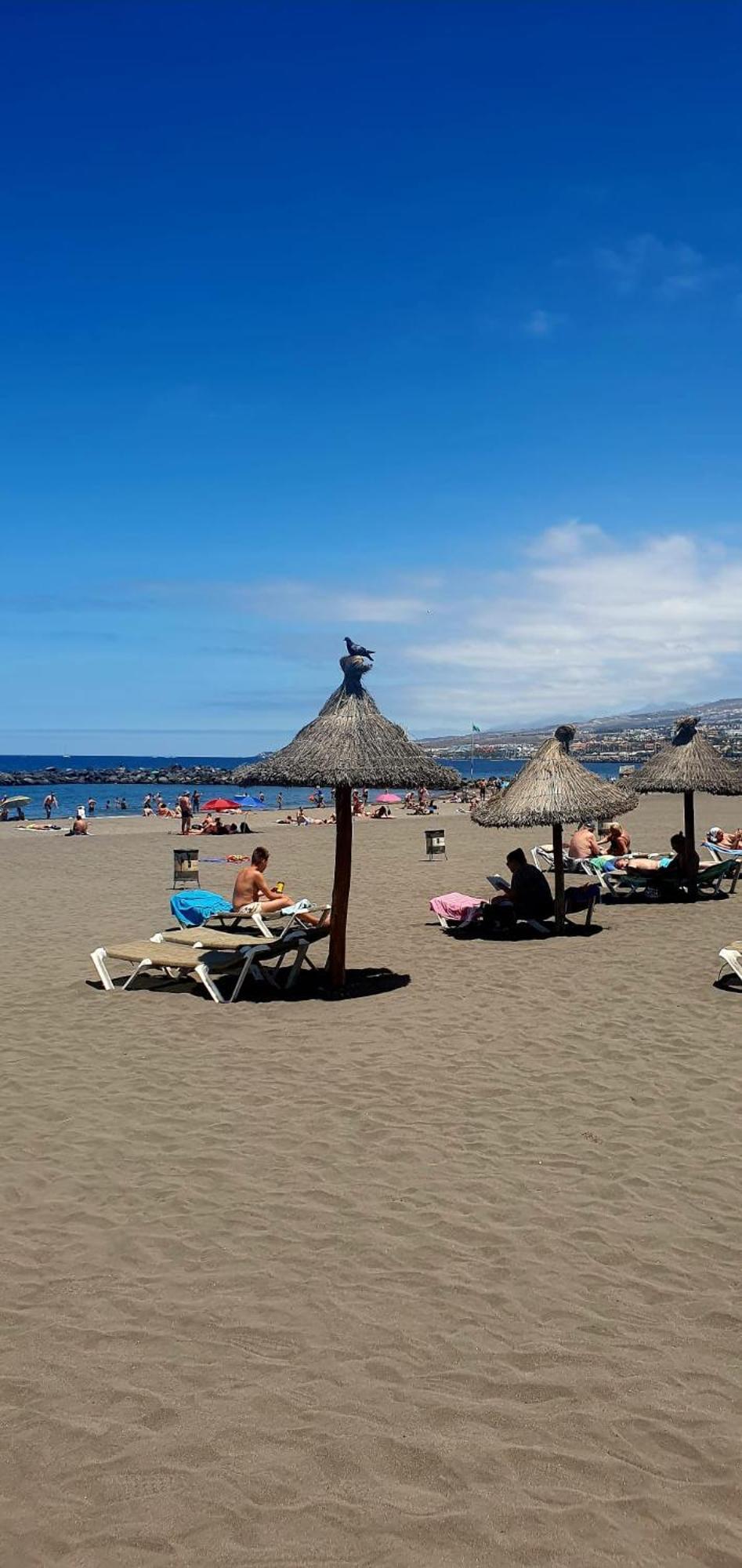 Wonderful White Appartament In Las Tortugas Playa de las Americas  Exterior foto