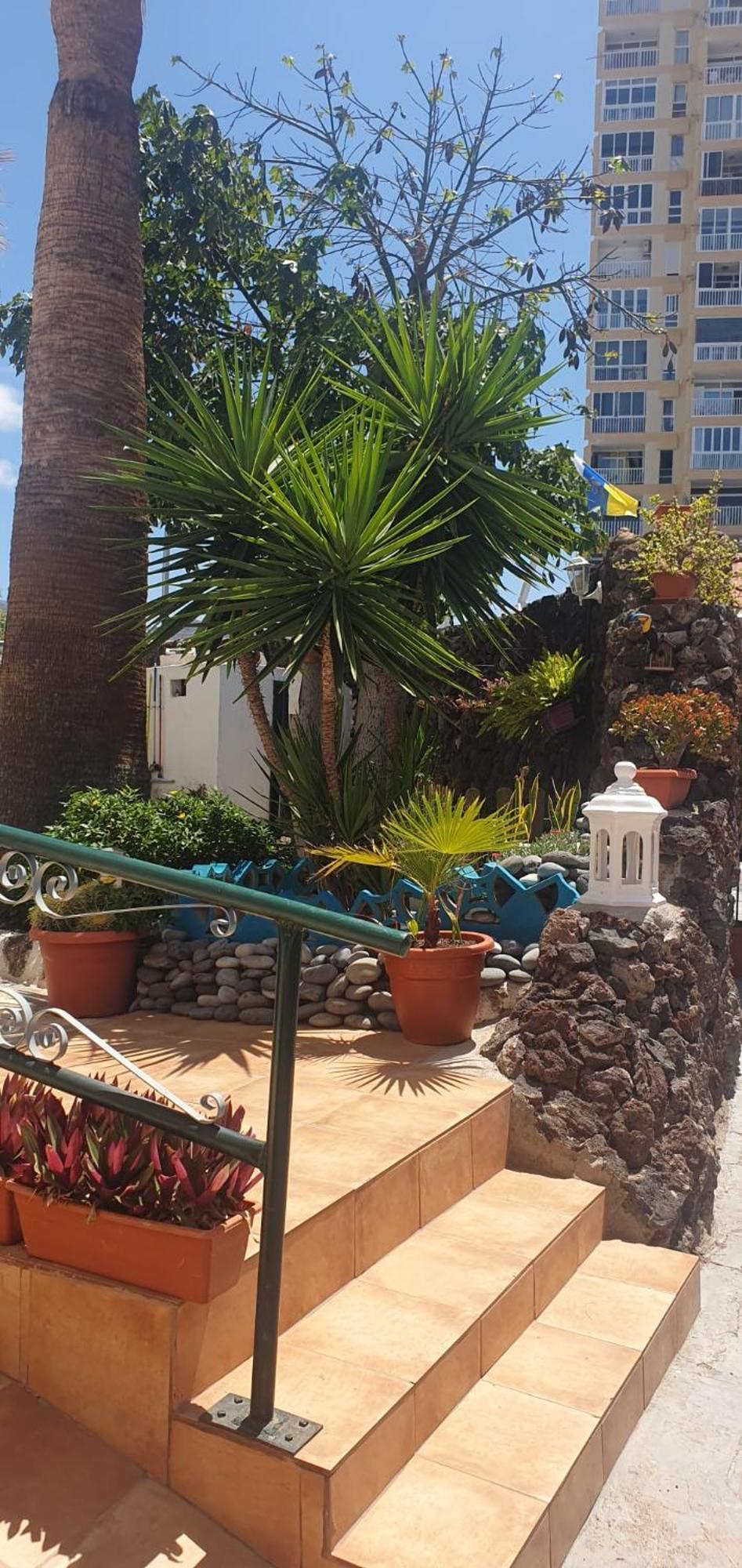 Wonderful White Appartament In Las Tortugas Playa de las Americas  Exterior foto