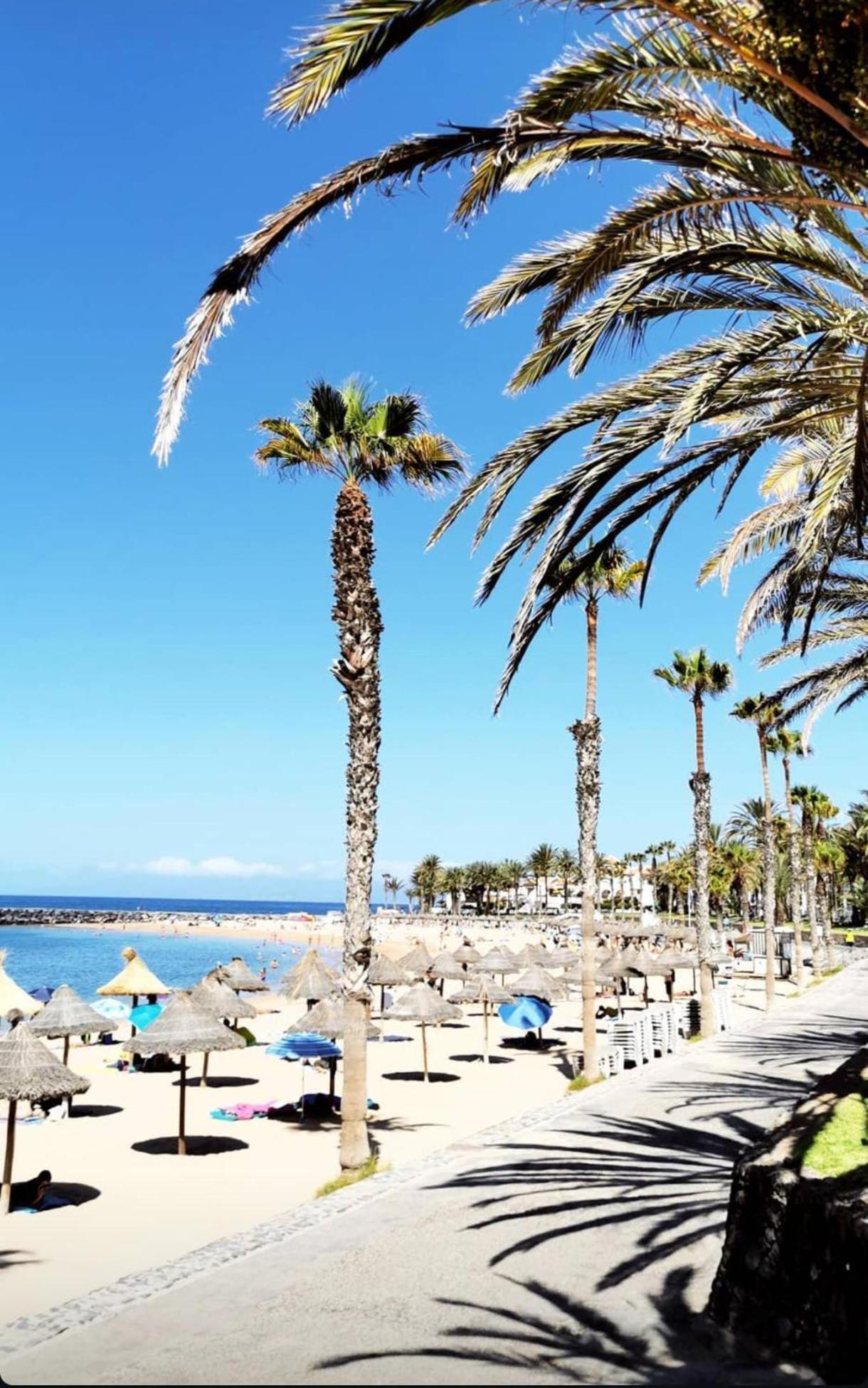 Wonderful White Appartament In Las Tortugas Playa de las Americas  Exterior foto