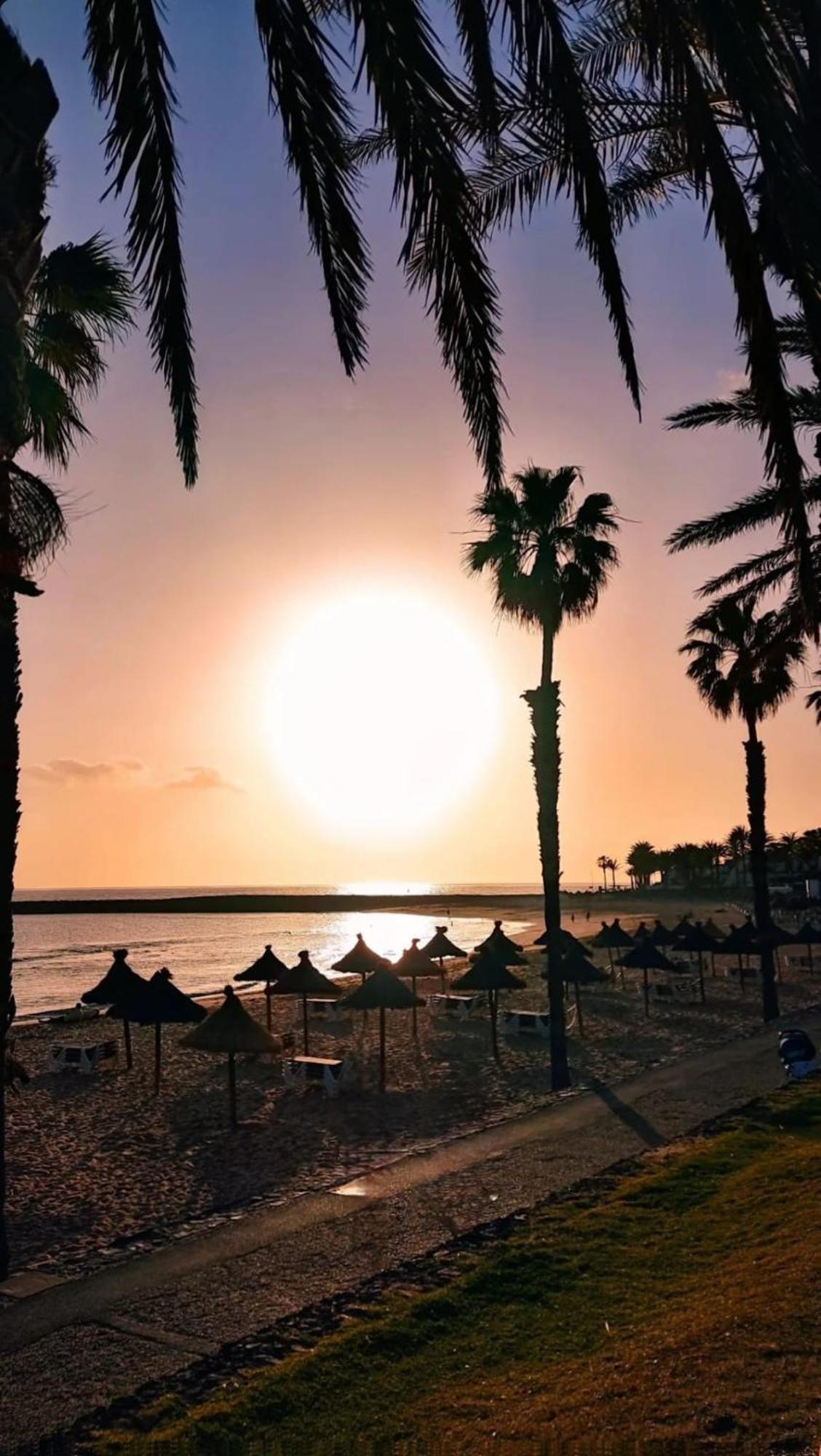 Wonderful White Appartament In Las Tortugas Playa de las Americas  Exterior foto